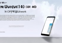 OPPO8007如何设置联通4G网络？详细教程步骤是什么？