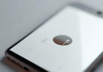 苹果6s怎么开小圆点，iOS小圆点设置方法