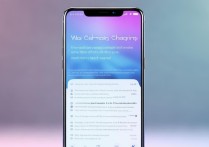 vivo手机怎么秒充电？快充技术是什么原理？
