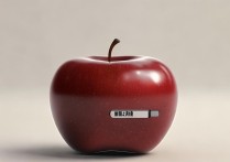 苹果能充电不能开机，充不进电怎么办？