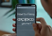 查找手机 oppo 怎么弄？