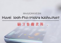 华为荣耀哪款手机好