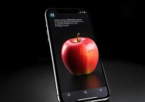 苹果手机美颜相机曝光怎么调结？苹果手机相机曝光调节方法