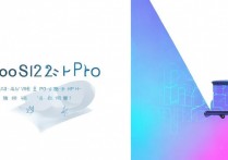 vivoS12Pro 什么时候出？vivoS12Pro 上市时间及参数配置介绍