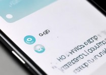 oppo手机怎么记录步数？oppo手机步数记录功能在哪找？