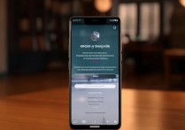 vivo怎么自己放歌，vivo手机本地音乐播放设置方法