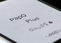 oppo插件怎么换照片？设置路径在哪找？