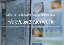 vivox5网络设置步骤详解，新手也能快速学会吗？