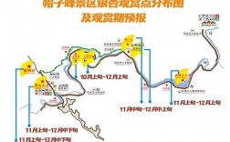 南雄银杏旅游攻略，如何规划一次完美的赏银杏之旅？