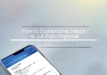 vivo系统升级后如何取消更新设置？