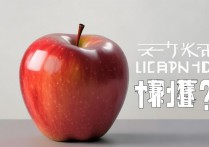 苹果 ld 密码忘记怎么办？苹果 id 密码忘了怎么找回？