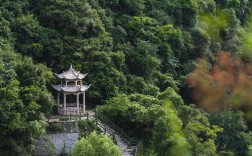 新昌九峰山风景区