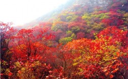 沂源县凤凰山风景区