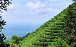 骆崃山风景区