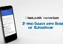 oppo手机怎么用facebook？国内用户设置教程分享