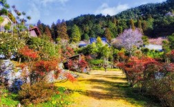 药王谷风景区