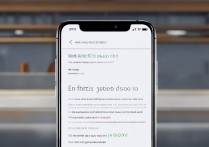 iQOONeo5活力版王者90帧怎么开？设置方法在这！