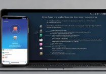 钉钉投屏功能在哪？手机电脑投屏方法详解