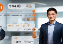 雷军占小米多少股份