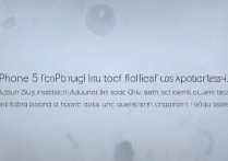 苹果5s升级后无法激活怎么办？解决方法有哪些？