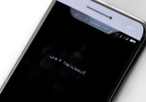 vivo手机一半屏幕黑屏了，自己能修吗？