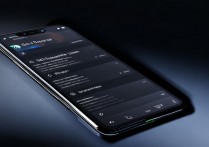 黑鲨5 RS怎么看内存占用？内存占用查询方法是什么？