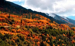 米亚罗风景区在哪里