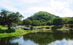 深圳风景区有哪些景点