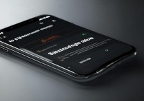 vivox5max怎么调成白色界面？系统主题颜色设置方法是什么？