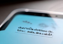 vivoy67怎么没有数据卡？插入没反应怎么办？