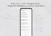 vivo手机怎么升级系统，vivo系统升级方法详解