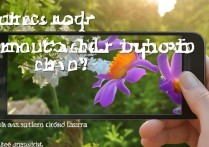 三星i9308摄像怎么拍才清晰？