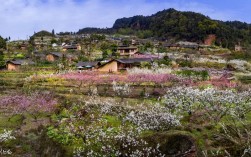 丹棱风景区