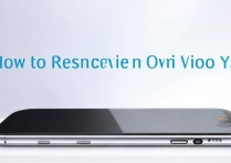 vivoY31手机怎么恢复服务？vivoY31手机服务恢复方法