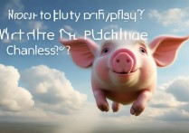 飞猪任性飞怎么买？抢购途径有哪些？