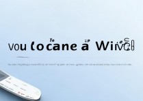 vivo手机如何取消WiFi预约下载任务？