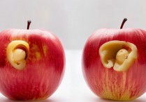 两苹果怎么连接蓝牙耳机，苹果手机连蓝牙耳机方法