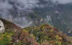 沟崖自然风景区怎么样