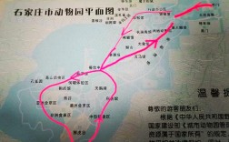 如何规划一次完美的石家庄动物园之旅？看这篇旅游攻略就够了！