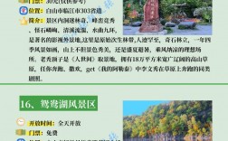 白山旅游攻略，如何规划一次完美的旅行体验？