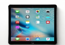 ipad竖屏锁定在哪
