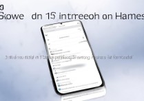 华为nova8怎么显示网速-华为nova8流量显示开启步骤一览