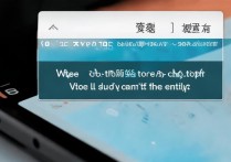 vivo主题设置在哪？找不到入口怎么办？