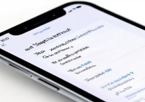 苹果手机怎么自己更改运营商名称？详细步骤在这里