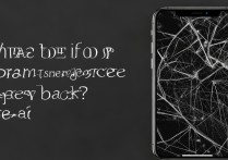 苹果手机屏幕摔黑屏了怎么办啊？还能修吗？