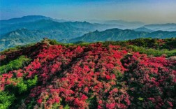 映山红景区