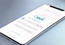 oppo 怎么更新