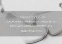 oppo耳机模式怎么设置？新手必看操作步骤在这里！