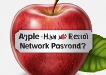 苹果还原网络密码忘记了怎么办啊，苹果忘记网络密码如何重置恢复