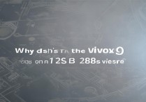为什么vivox9没有128G版本？